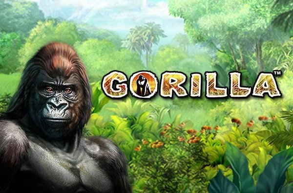 Gorilla Casino Mobile