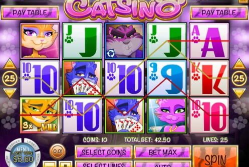 Cool cat 100 no deposit bonus