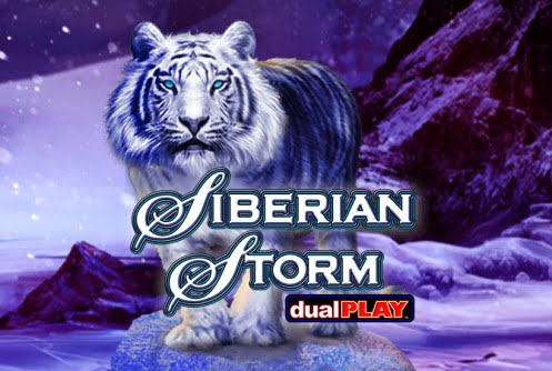 Free slots games siberian tiger