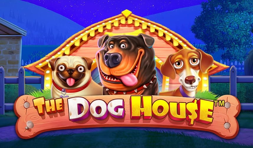 Dog slots free games