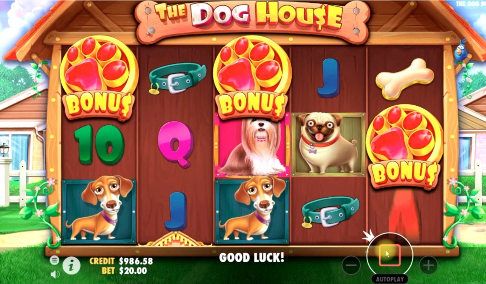 the dog house slot by pragmatic play