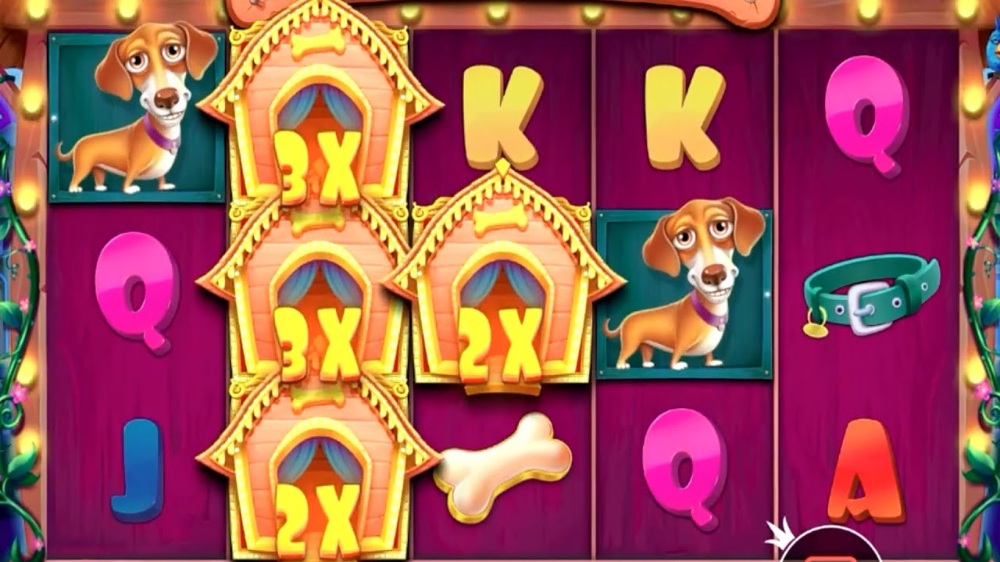the dog house slot by pragmatic play