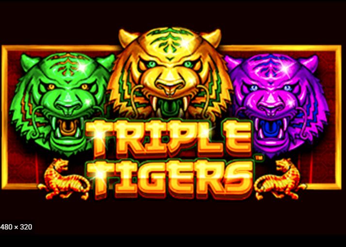 triple tigers
