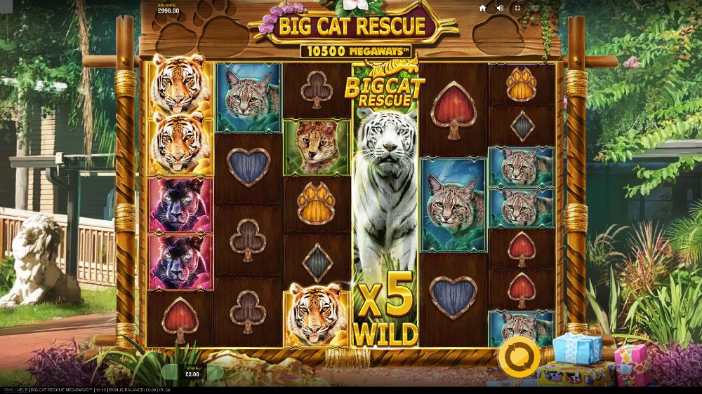 big cat rescue megaways slot