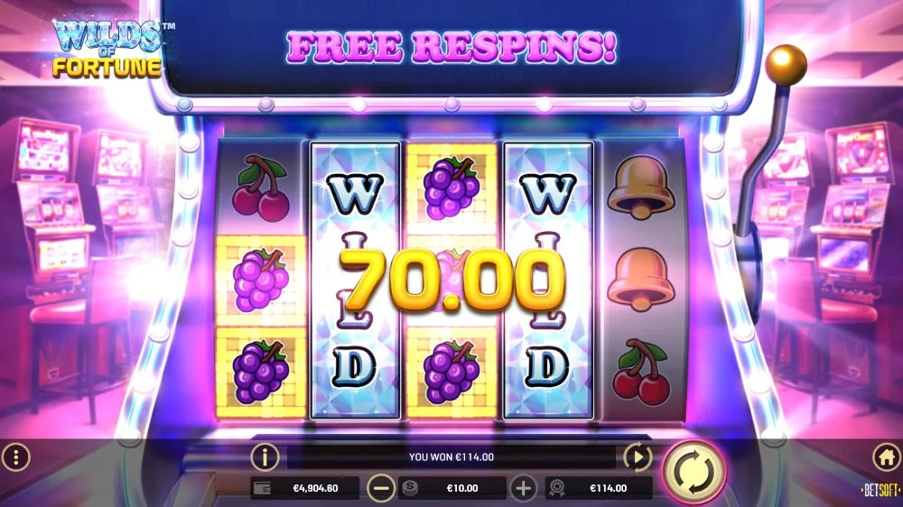 wilds of fortune slot interface