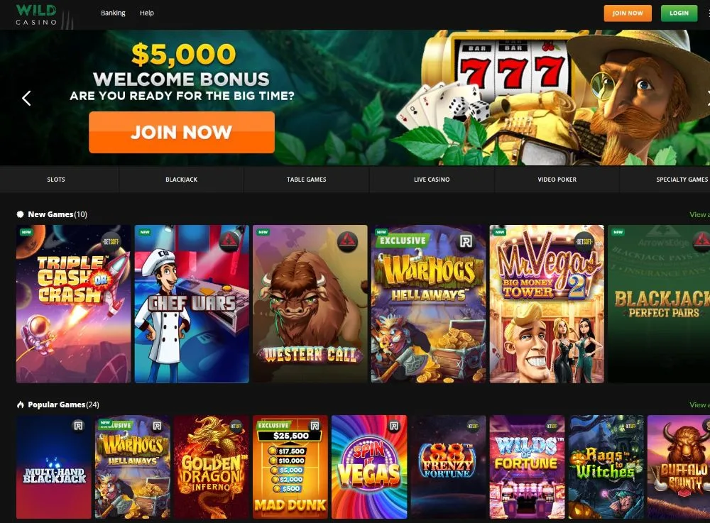 Wild Casino Ripple XRP deposit cashier interface
