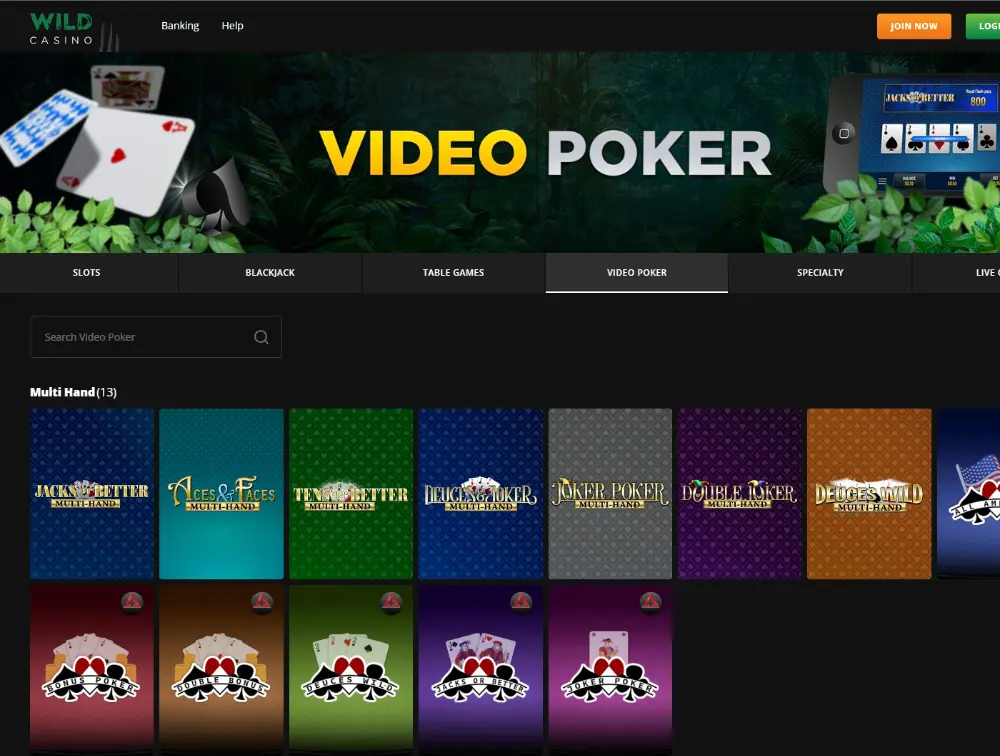 wild casino video poker games