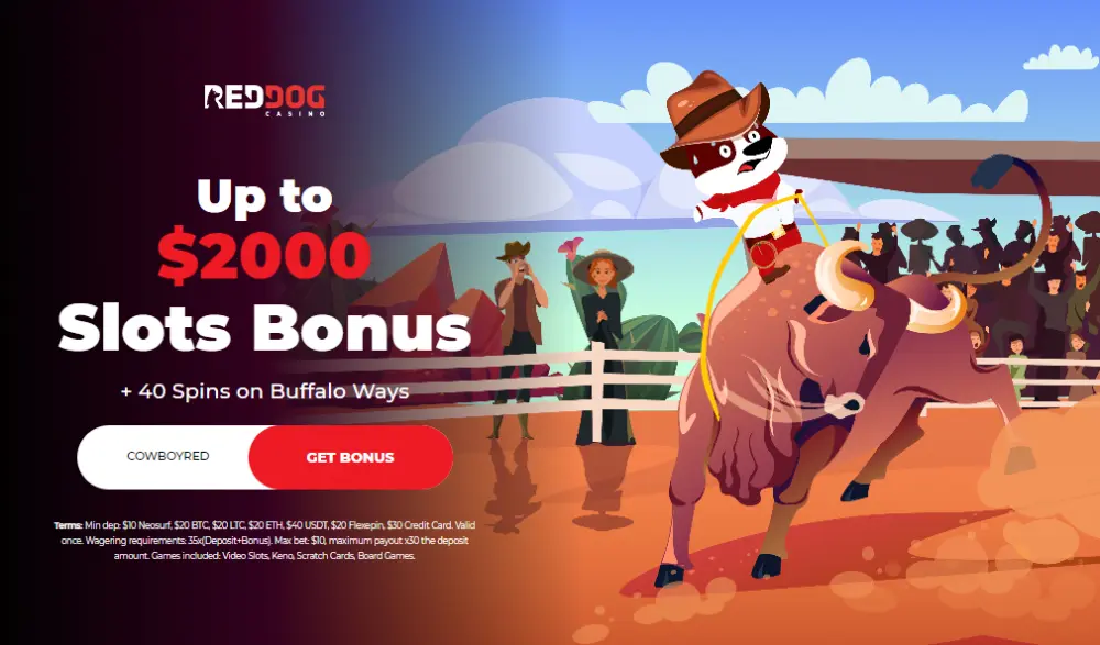 red dog casino 2000 slot bonus