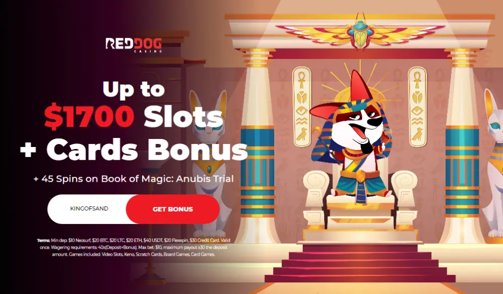 red dog casino slot & card bonus