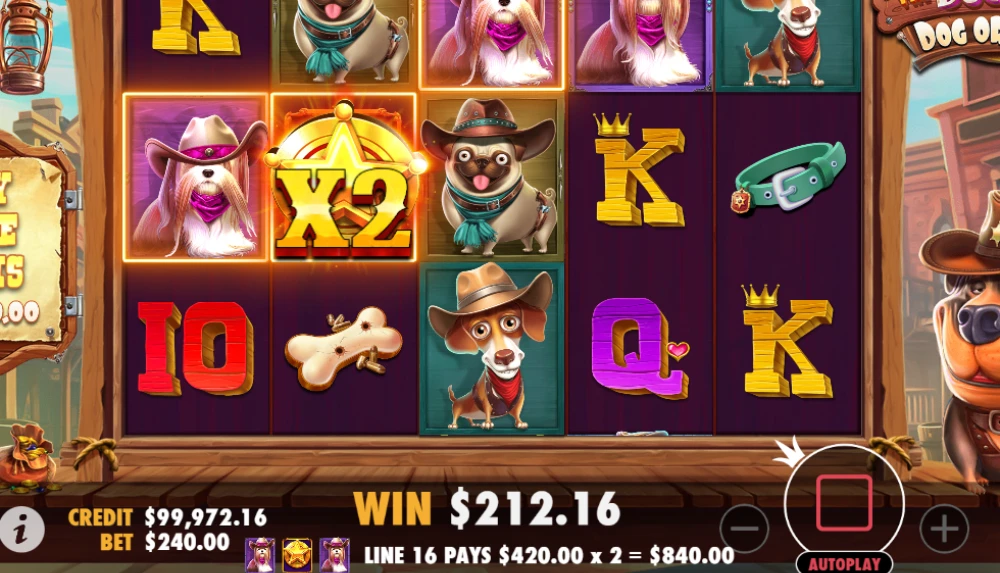 dog or alive slot win