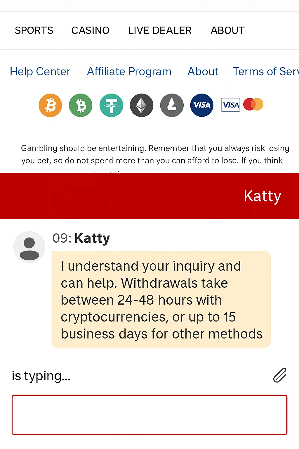 Bovada Hidden Live Chat Screenshot