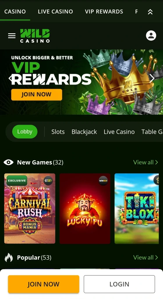 Wild Casino Mobile App Interface
