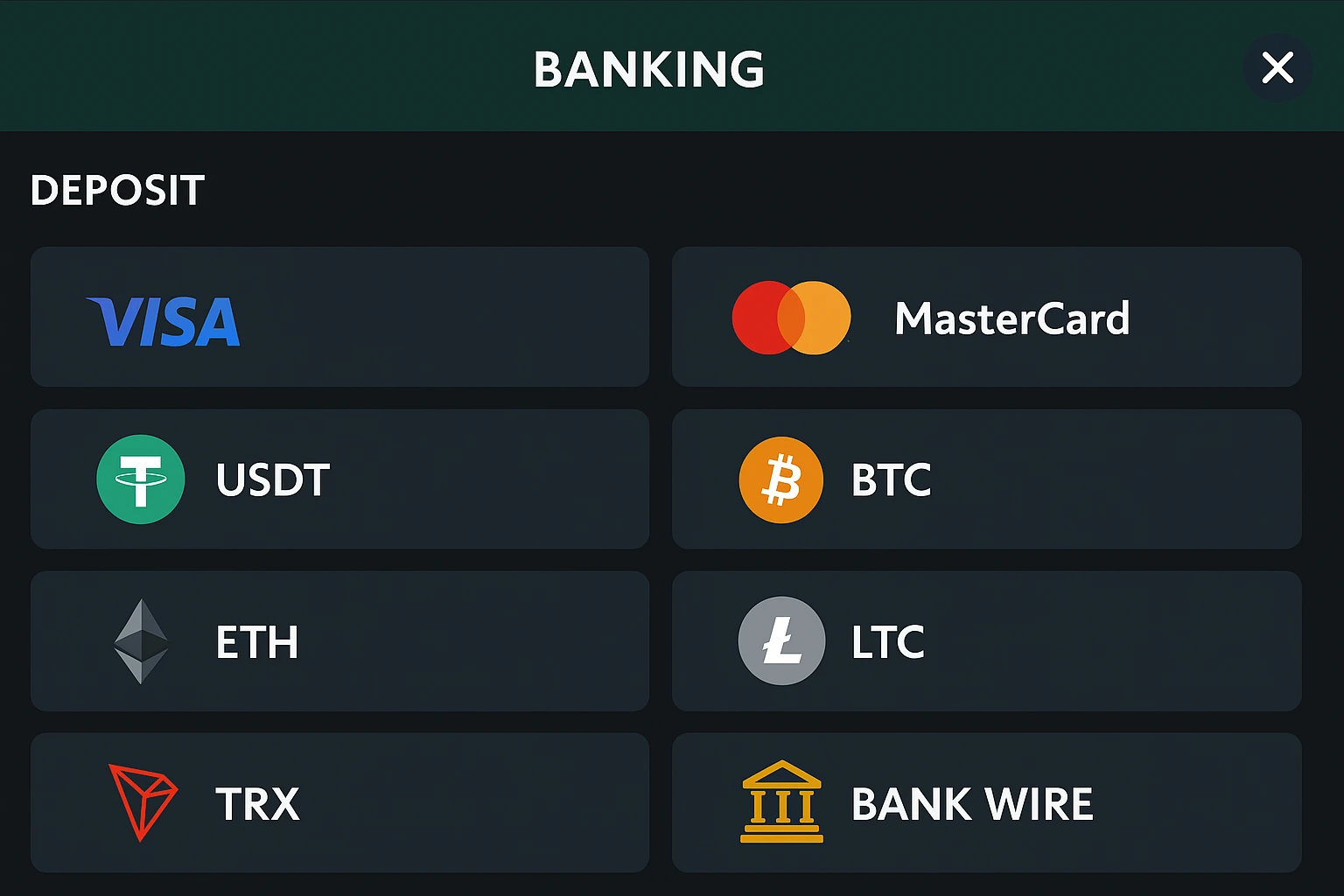 Wild Casino Secure Crypto Cashier Layout